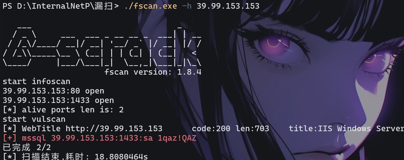 image-20251216231654859