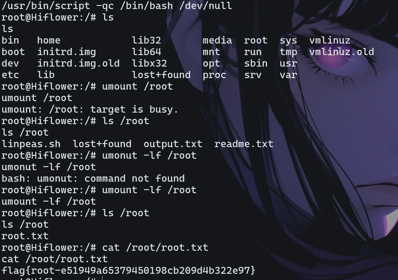 image-20260221223158606