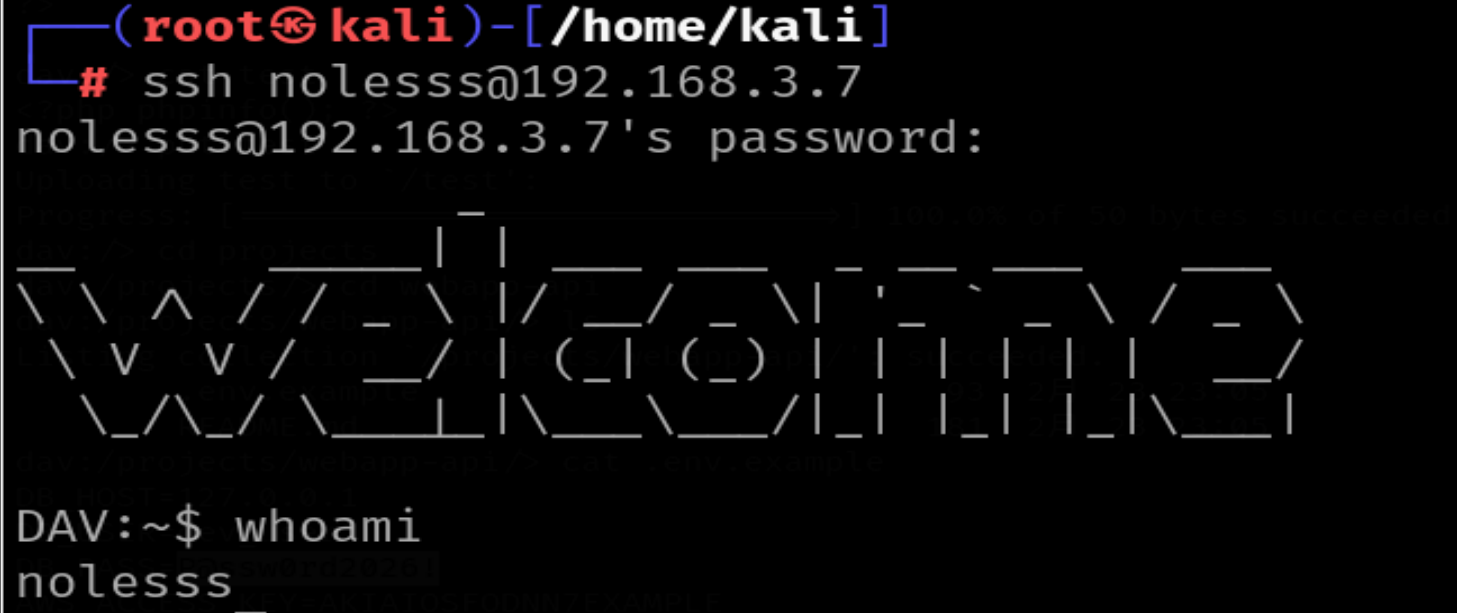 image-20260311210041195