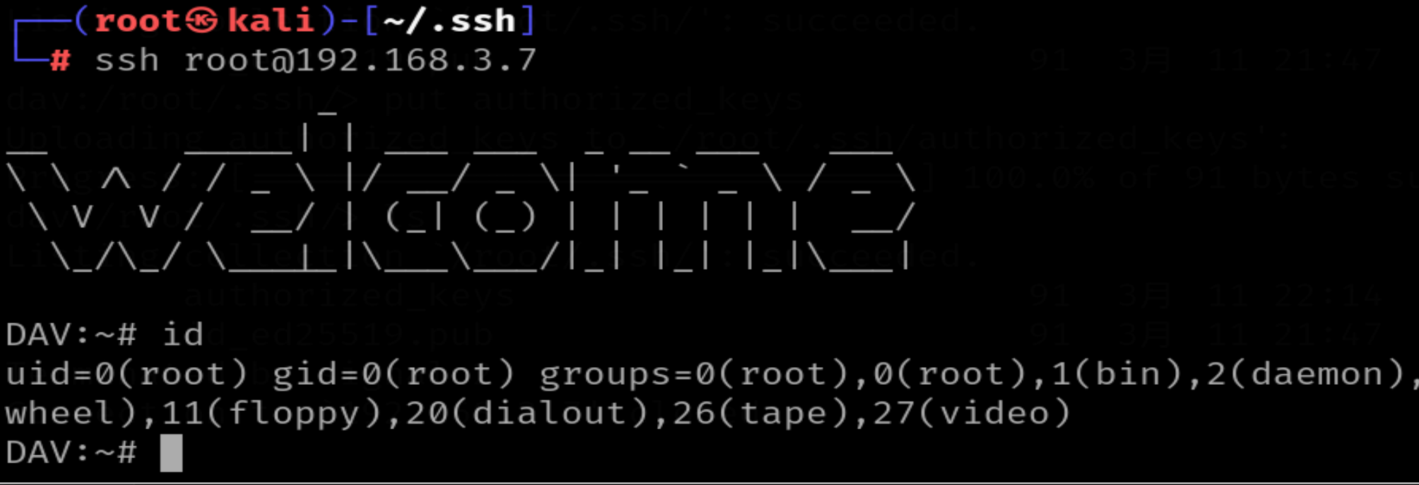 image-20260311221824324