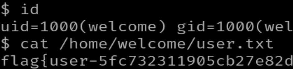 image-20260312233045358