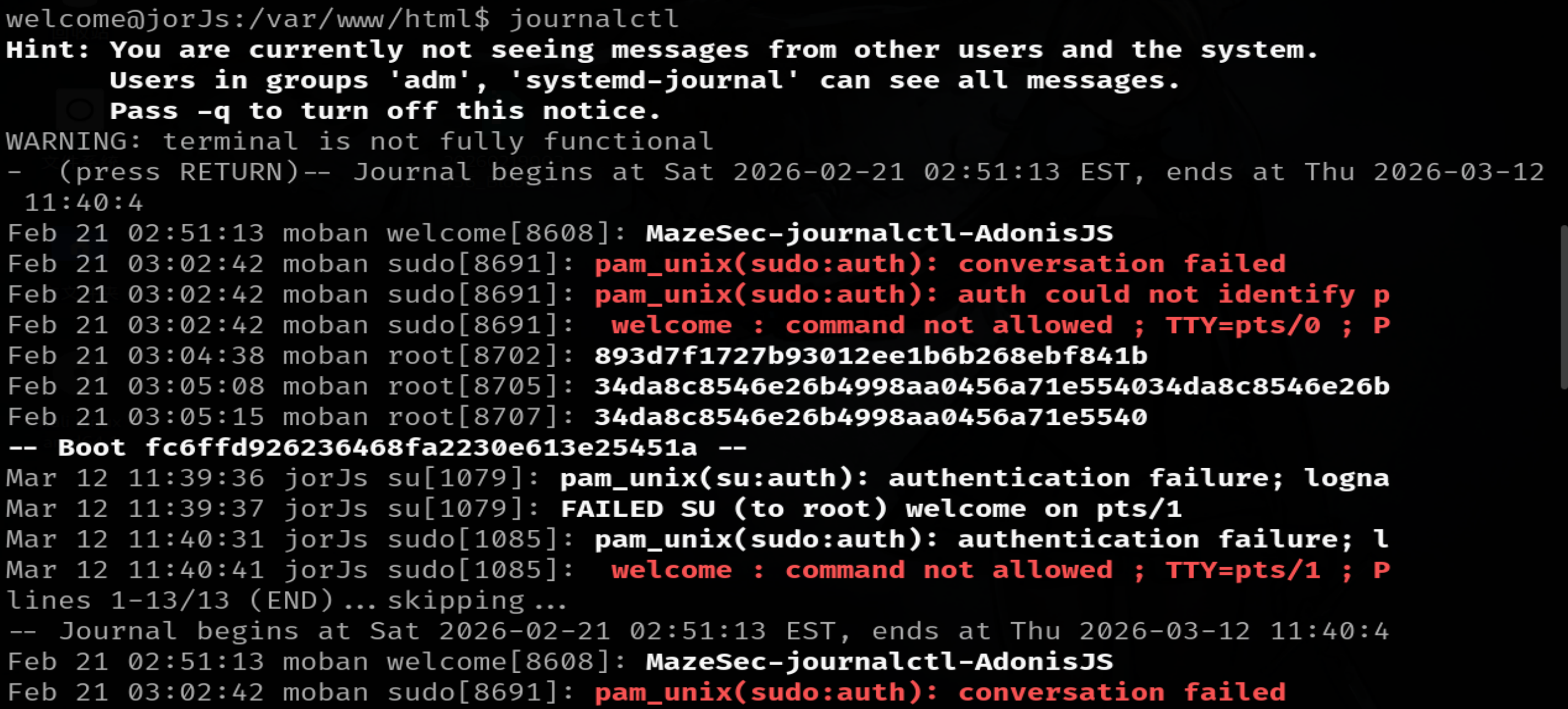 image-20260312235551975