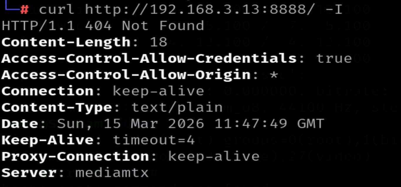 image-20260315194912819